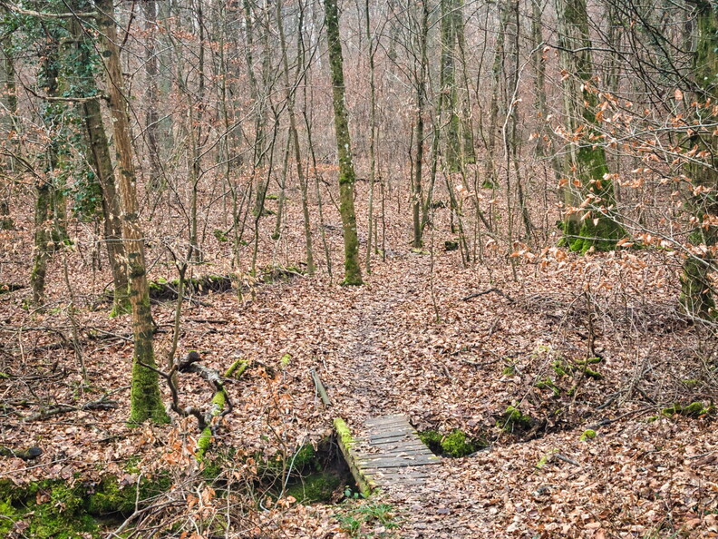 20220123160545-85e7c85e